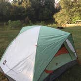 Review photo of Wilson's Riverfront RV Park by Daniel P., September 22, 2016