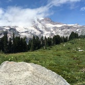 Review photo of Cougar Rock Campground — Mount Rainier National Park by Zane G., July 31, 2019