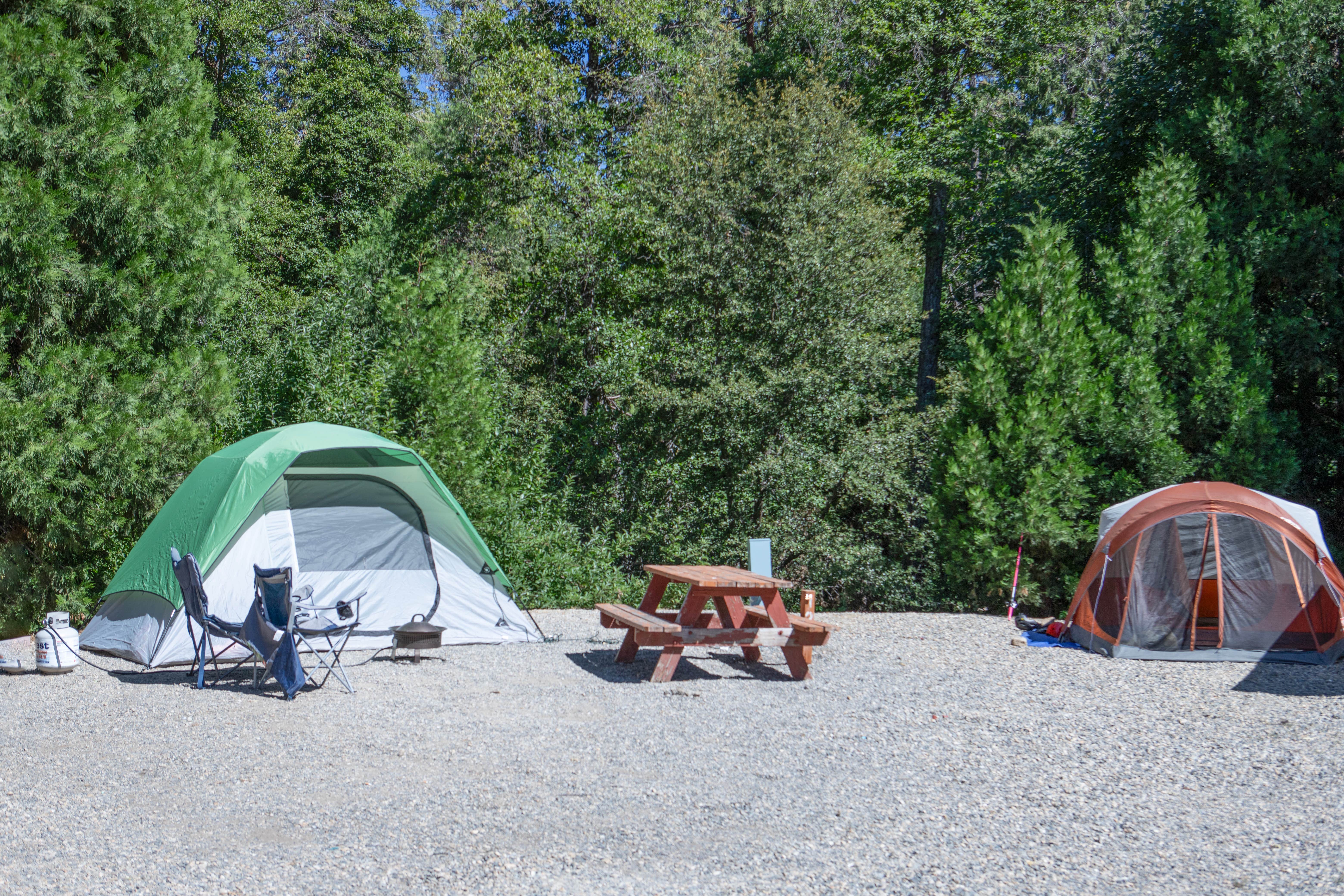 Bryan R.'s photo at Outdoorsy Yosemite near Wishon, CA