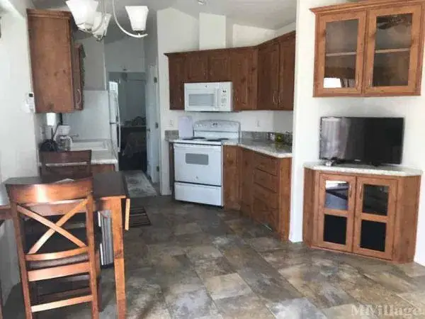 Camper-submitted photo at Cedar Cove RV Park near Truth or Consequences, NM