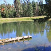 Review photo of Stough Reservoir Campground by Patricia N., August 12, 2025
