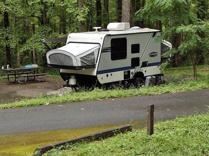 Camper submitted image from Cosby Campground — Great Smoky Mountains National Park - 2