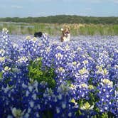 Review photo of Muleshoe Bend Recreation Area by Jennifer J., September 22, 2016