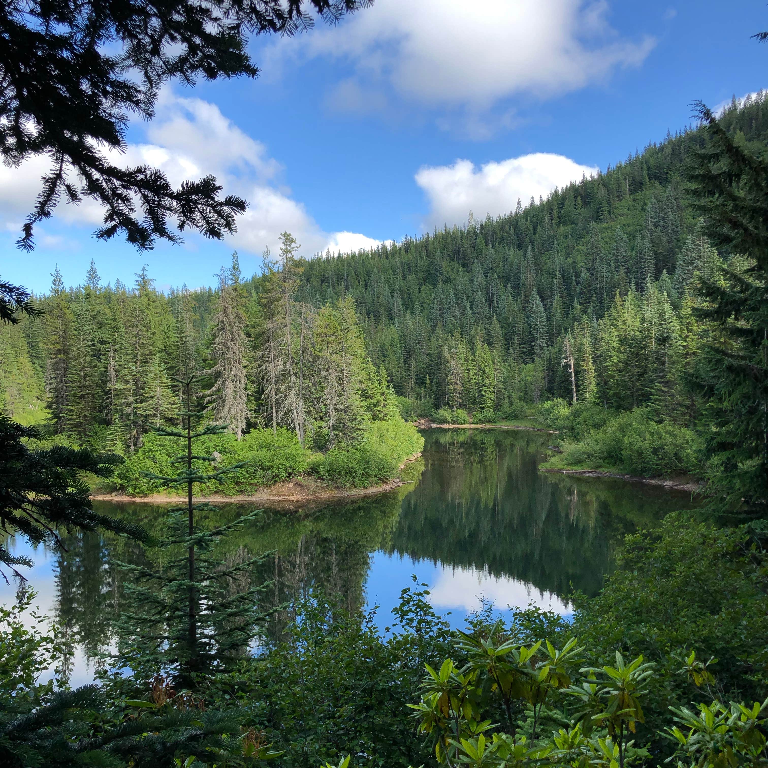 Camper-submitted photo at Cast Lake near Brightwood, OR