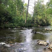 Review photo of Black Mountain Campground - CLOSED INDEFINITELY by Paul F., July 31, 2019