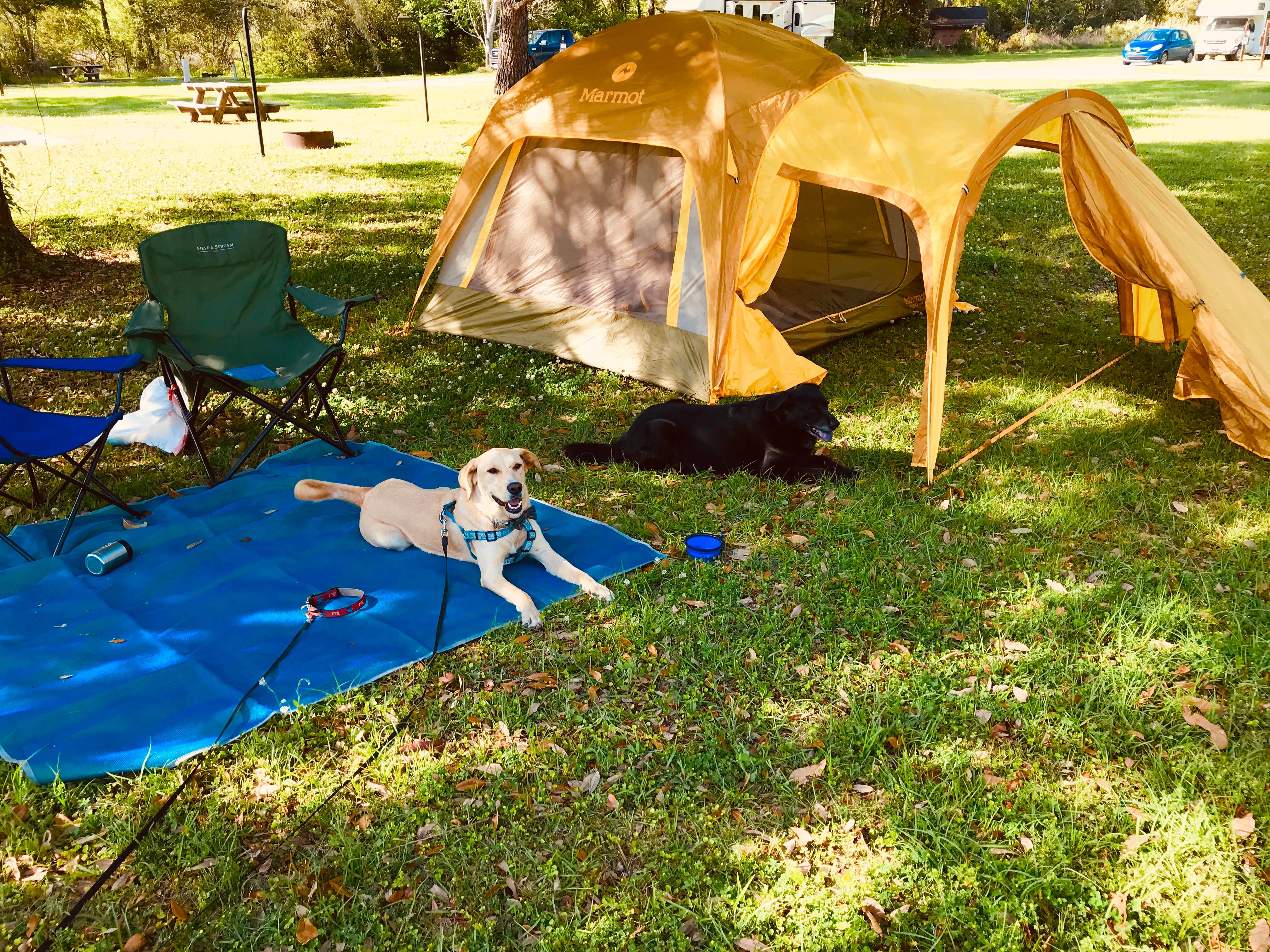 Eric K.'s photo at Buck Hall Recreation Area near Awendaw, SC