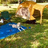 Review photo of Buck Hall Recreation Area by Eric K., July 31, 2019