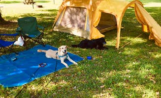 Eric K.'s photo at Buck Hall Recreation Area near Bonneau, SC