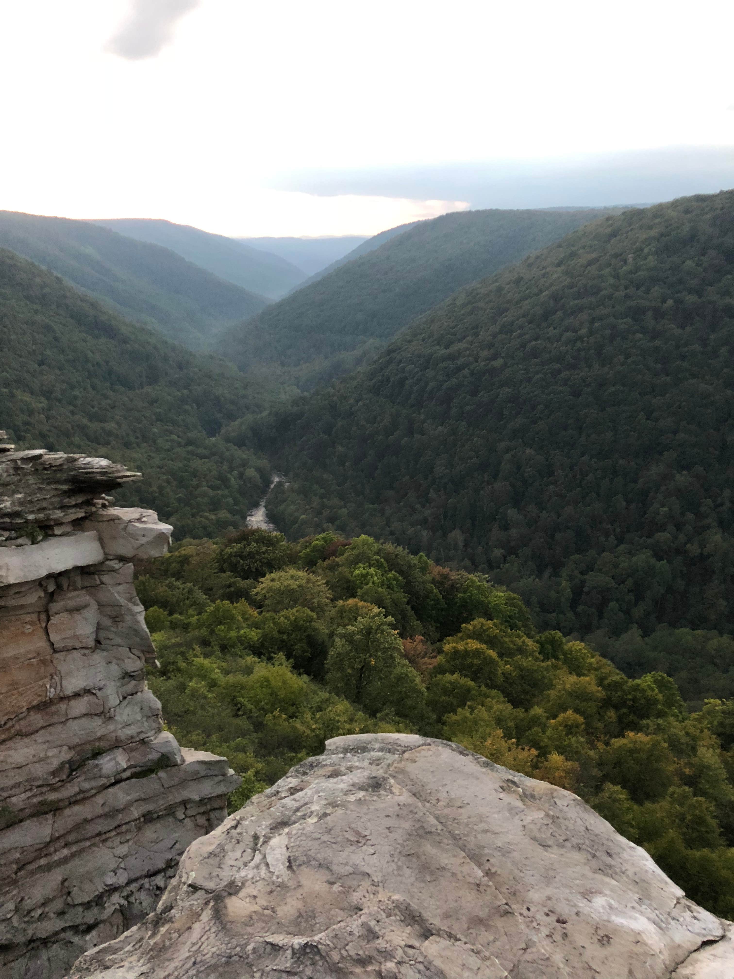 Camper submitted image from Monongahela National Forest Dispersed Site - 2