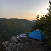 Review photo of Monongahela National Forest Dispersed Site by Olivia M., July 31, 2019