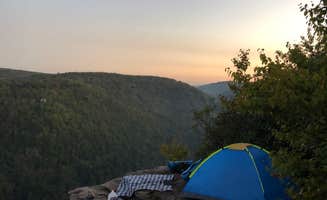 Olivia M.'s photo of a dispersed camping area at Monongahela National Forest Dispersed Site near Whitmer, WV