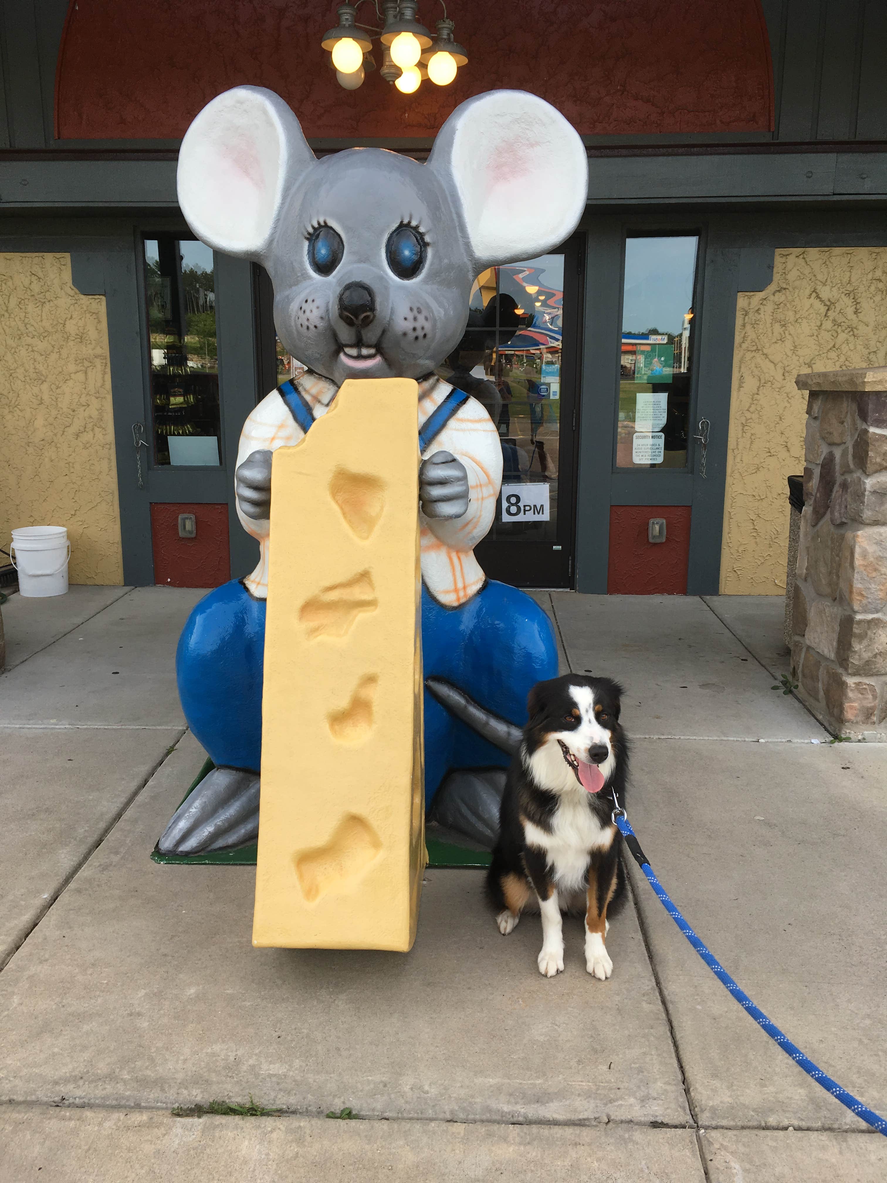 Olivia M.'s photo of camping with pets at Arrowhead RV Campground near La Farge, WI