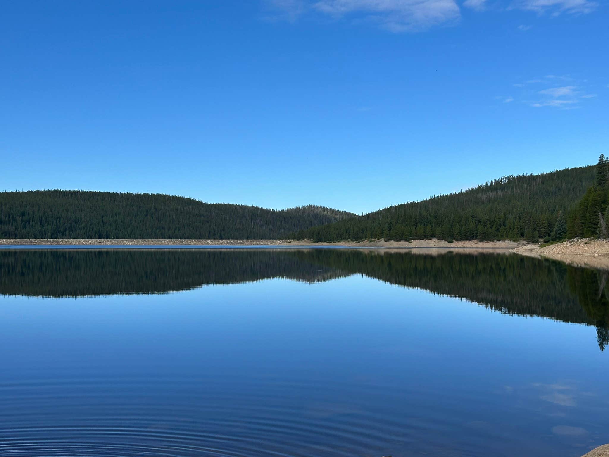 brian C.'s photo of a dispersed camping area at Camp Chandler Dispersed near Arapaho and Roosevelt National Forests and Pawnee National Grassland