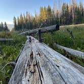 Review photo of Camp Chandler Dispersed by brian C., August 13, 2025