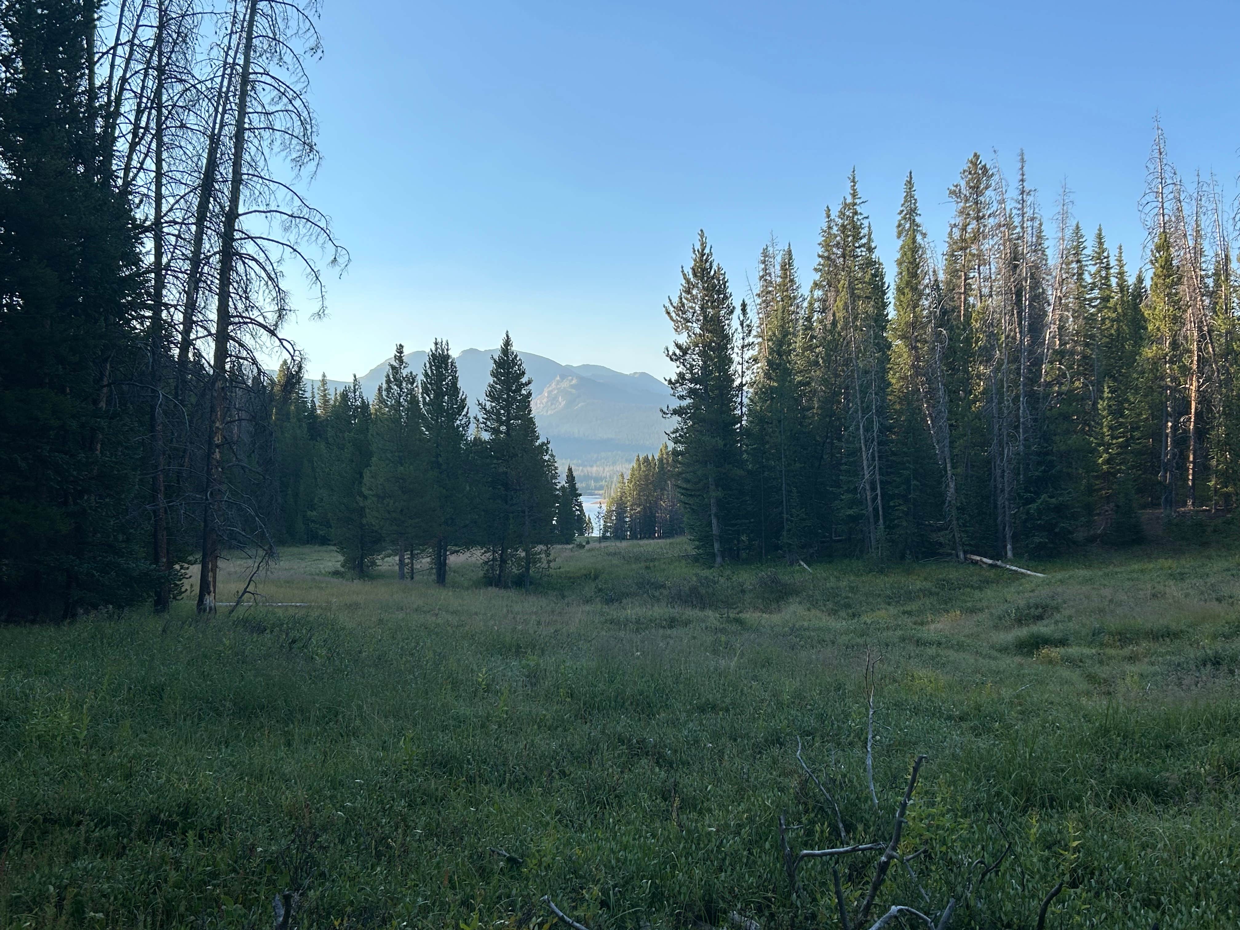 Camp Chandler Dispersed