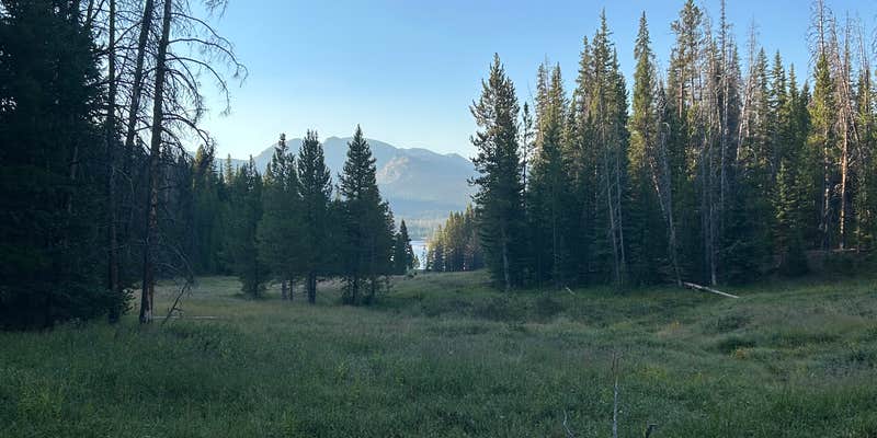 Camper submitted image from Camp Chandler Dispersed