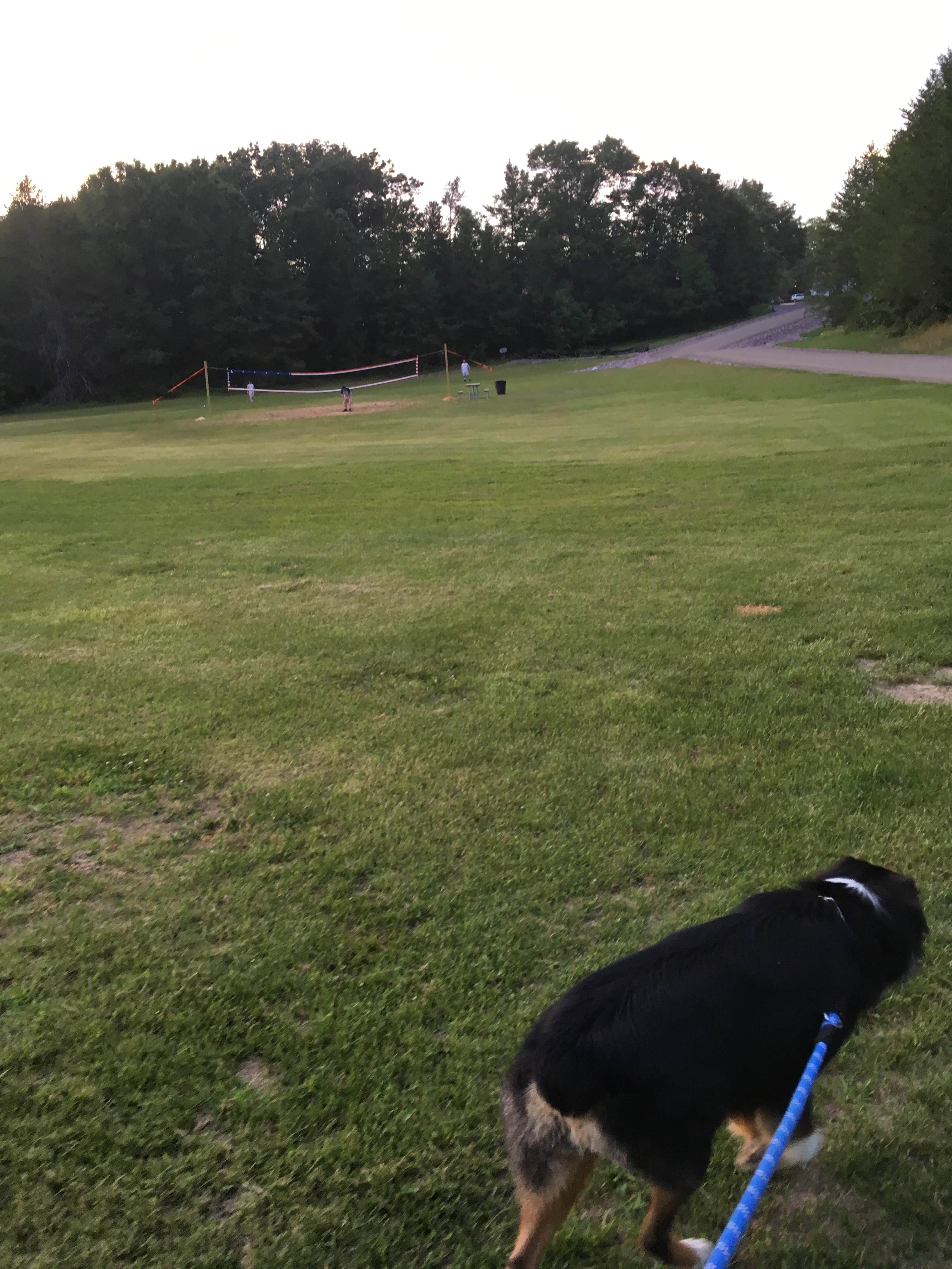 Olivia M.'s photo of camping with pets at Arrowhead RV Campground near Friendship, WI