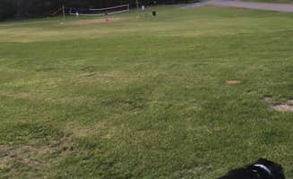 Olivia M.'s photo of camping with pets at Arrowhead RV Campground near Friendship, WI