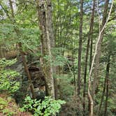 Review photo of Blue Heron Campground — Big South Fork National River and Recreation Area by Tom B., August 13, 2025
