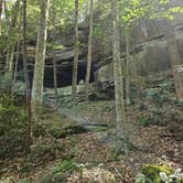 Review photo of Blue Heron Campground — Big South Fork National River and Recreation Area by Tom B., August 13, 2025