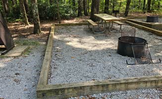 Tom B.'s photo at Blue Heron Campground — Big South Fork National River and Recreation Area near Lake Cumberland
