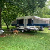 Review photo of Five River Campground by Janet  C., July 31, 2019