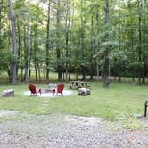 Review photo of tiny HOUSE CAMPGROUND by tiny HOUSE C., August 13, 2025