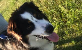 Olivia M.'s photo of camping with pets at Buffalo River State Park Campground near West Fargo, ND