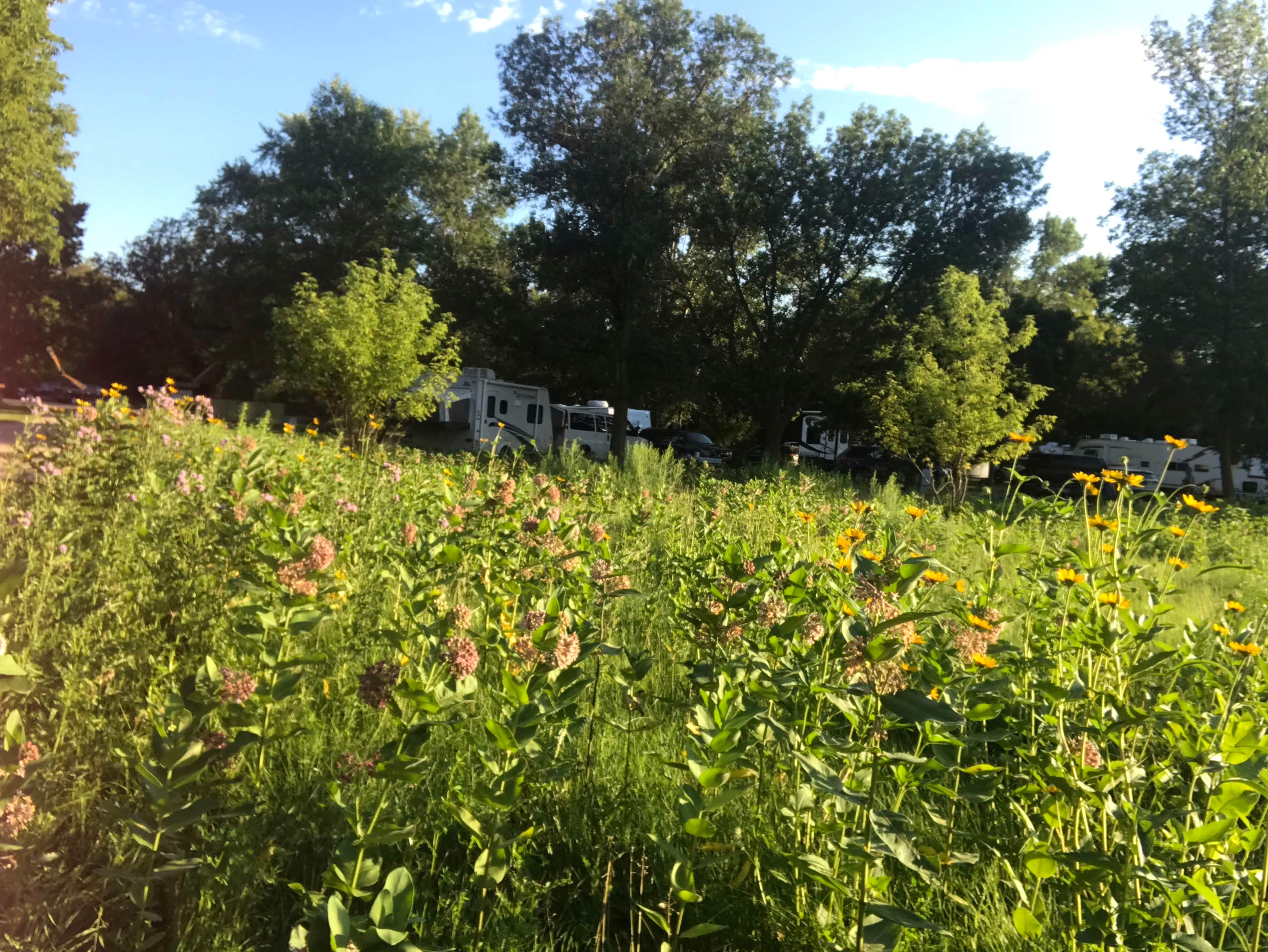 Camper-submitted photo at Buffalo River State Park Campground near Leonard, ND