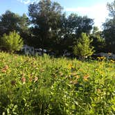 Review photo of Buffalo River State Park Campground by Olivia M., July 31, 2019