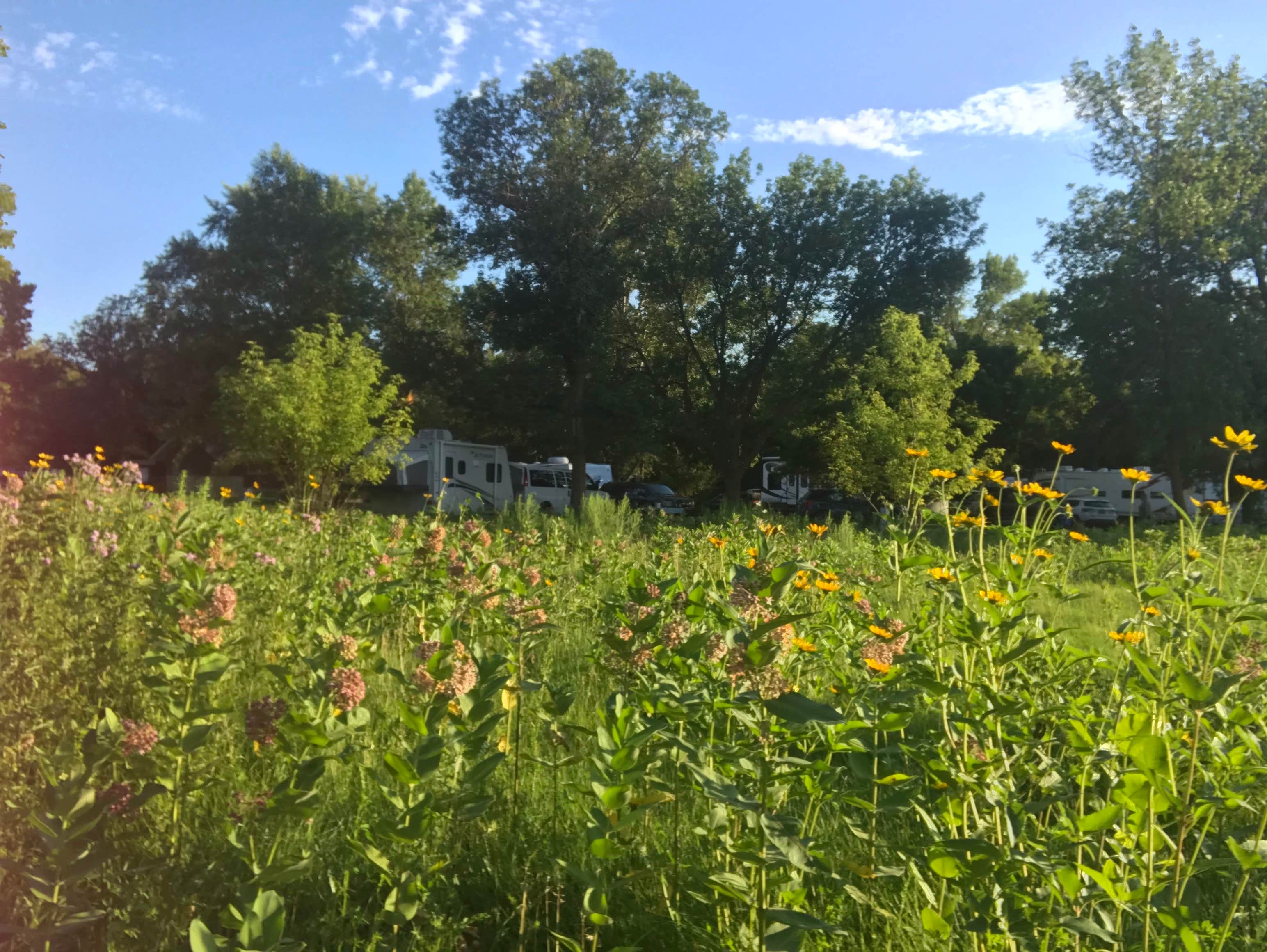 Camper-submitted photo at Buffalo River State Park Campground near Leonard, ND