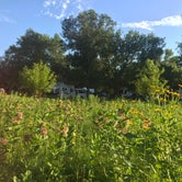Review photo of Buffalo River State Park Campground by Olivia M., July 31, 2019