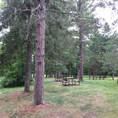 Review photo of Pine Ridge Campground — Itasca State Park by Olivia M., July 31, 2019