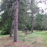Review photo of Itasca State Park Campground by Olivia M., July 31, 2019