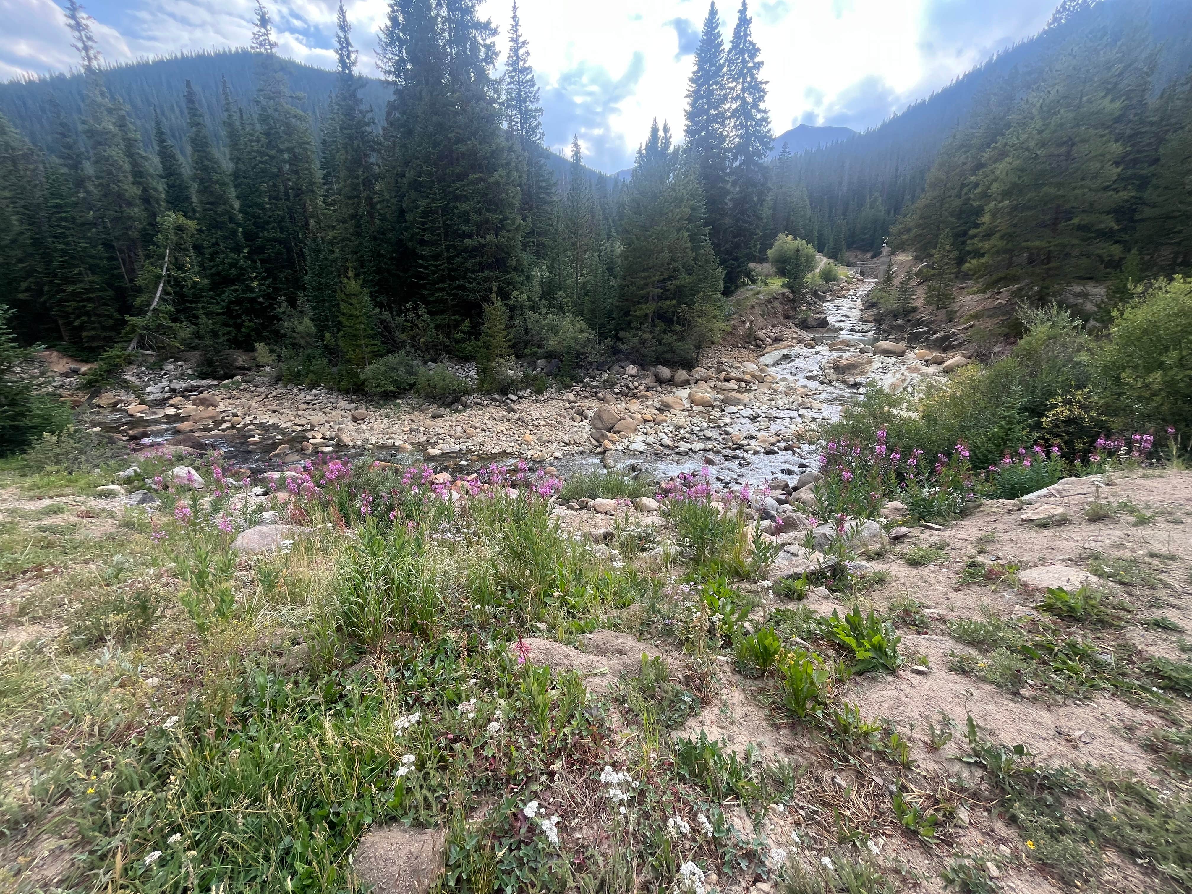 Camper-submitted photo at North Fork Lake Creek Dispersed near Aspen, CO