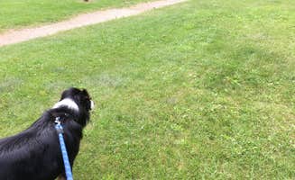 Olivia M.'s photo of camping with pets at Pine Ridge Campground — Itasca State Park near Midway, MN