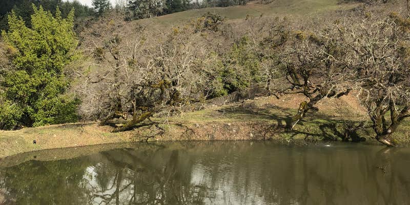 Camper submitted image from Long Creek Ranch