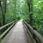 Review photo of Pine Ridge Campground — Itasca State Park by Olivia M., July 31, 2019