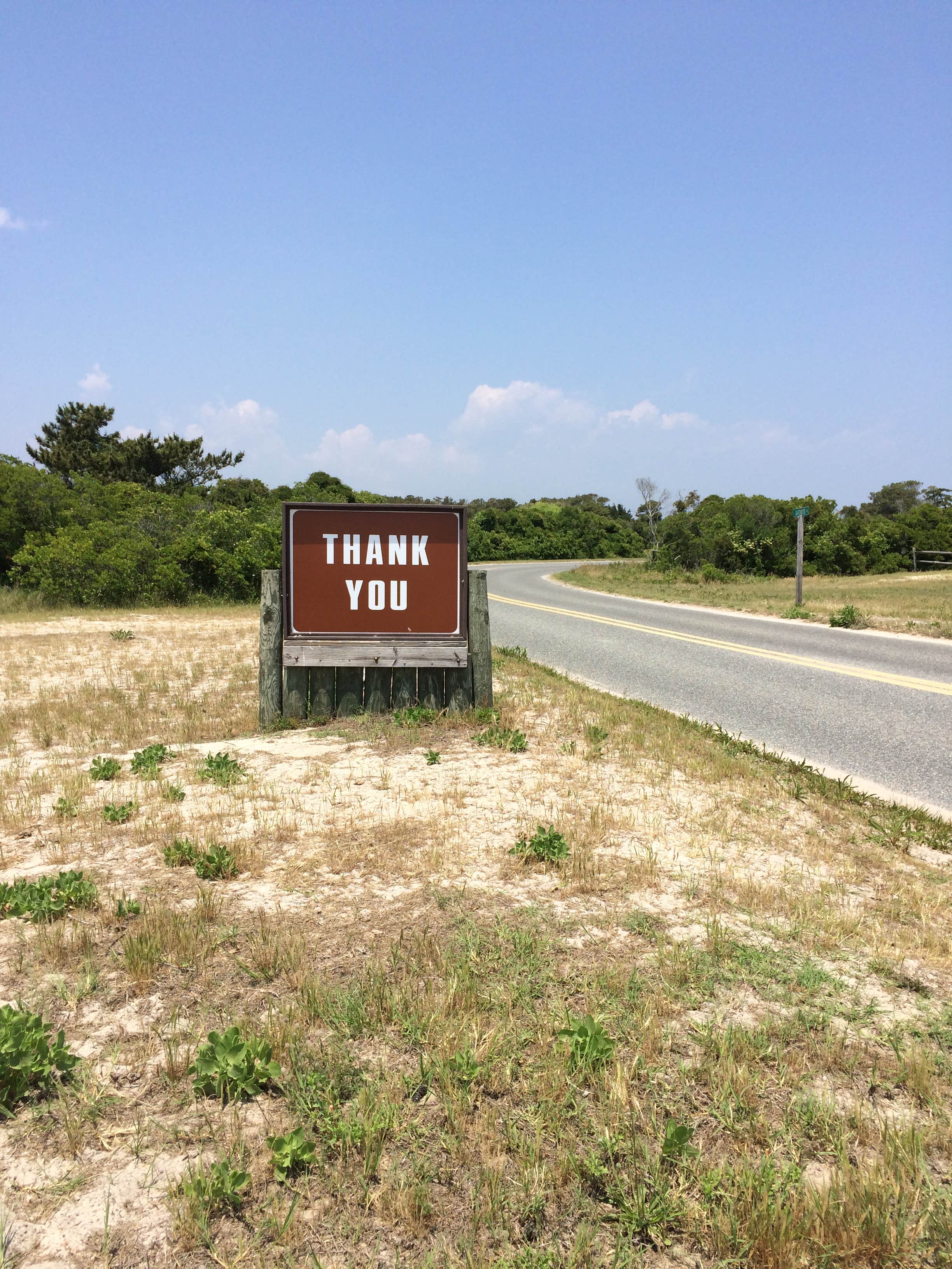 Camper submitted image from Assateague State Park Campground - 5