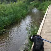 Review photo of Pine Ridge Campground — Itasca State Park by Olivia M., July 31, 2019