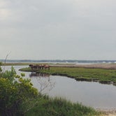 Review photo of Assateague State Park Campground by Sarah M., September 22, 2016