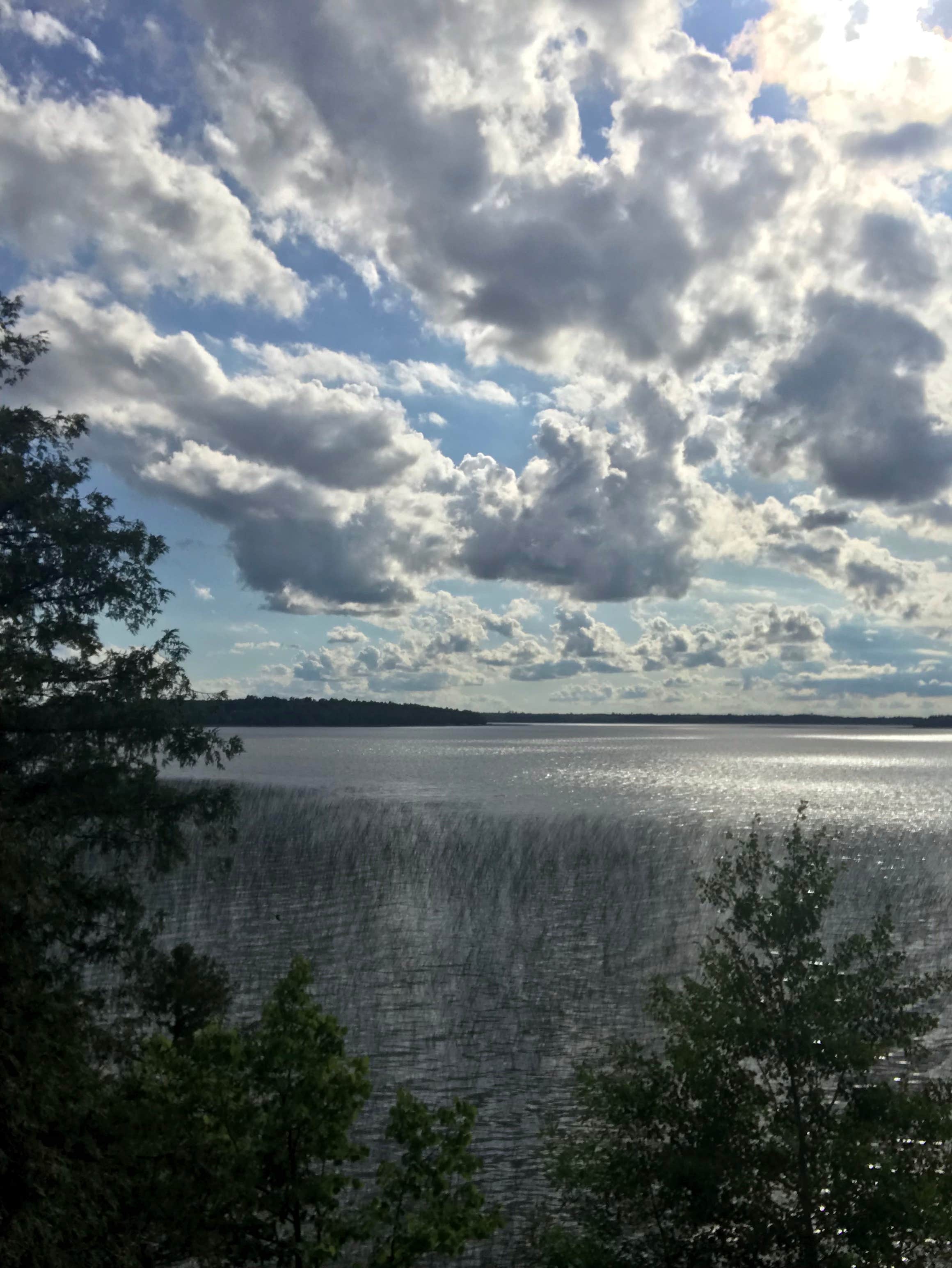 Camper-submitted photo at Pine Tree Park near Blackduck, MN
