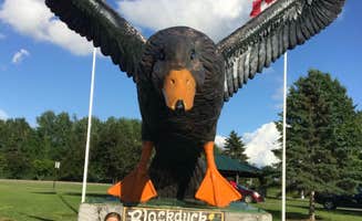 Olivia M.'s photo of camping with pets at Pine Tree Park near Bigfork, MN