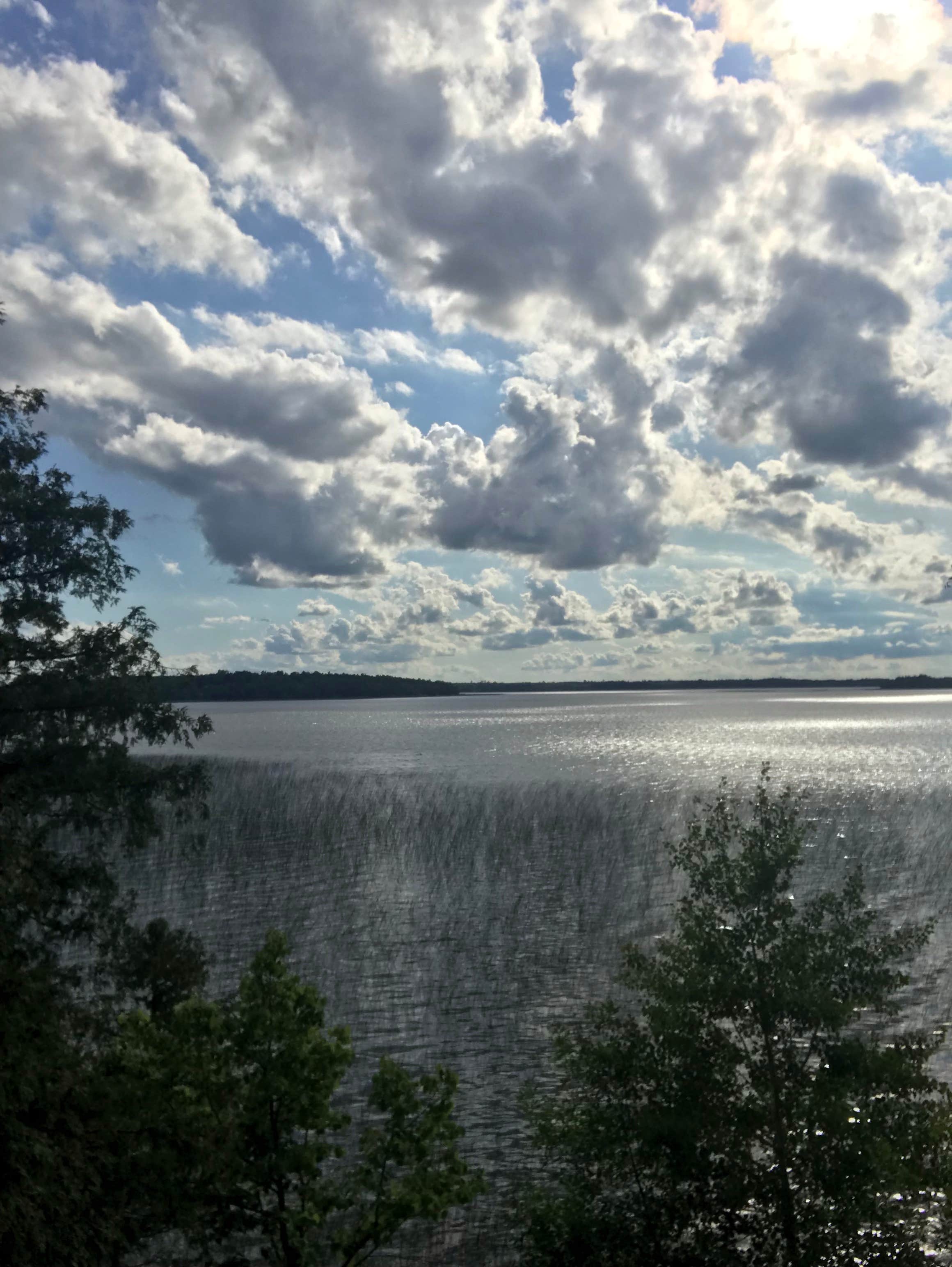 Camper-submitted photo at Pine Tree Park near Blackduck, MN