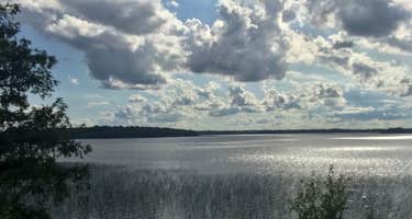 Pine Tree Park