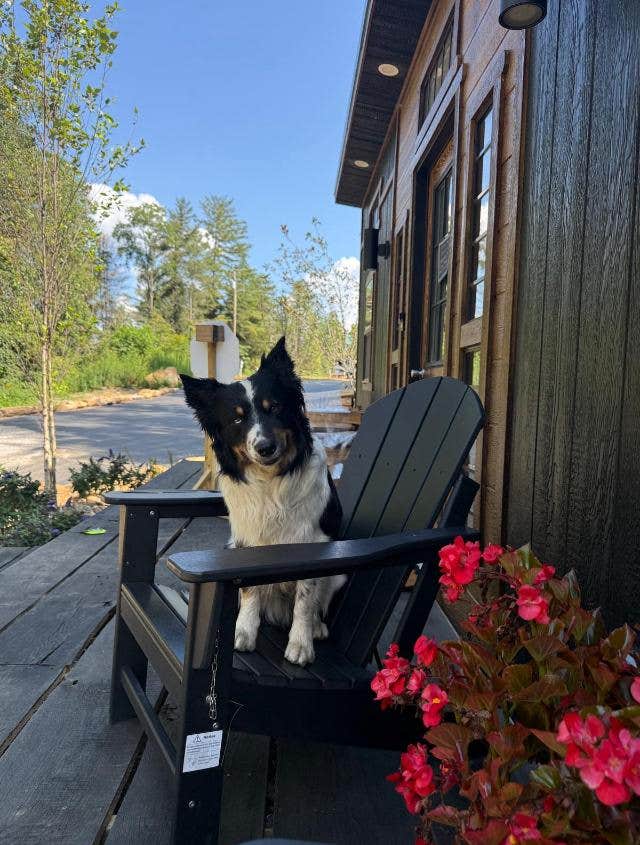 Shannon G.'s photo of camping with pets at Cumberland Falls RV Resort near Somerset, KY
