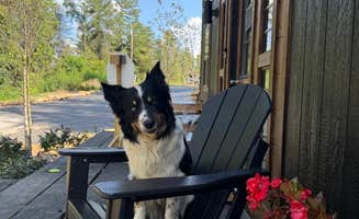 Shannon G.'s photo of camping with pets at Cumberland Falls RV Resort near Laurel River Lake