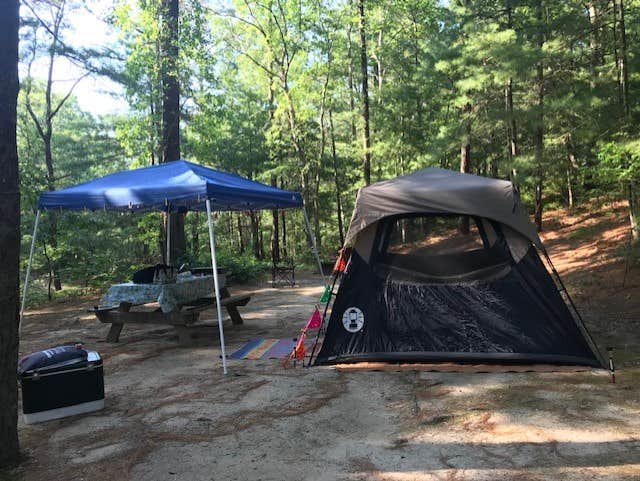 Paula T.'s photo at Shawme Crowell State Forest Campground near Manomet, MA