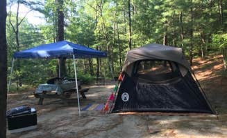 Paula T.'s photo at Shawme Crowell State Forest Campground near Marion Center, MA