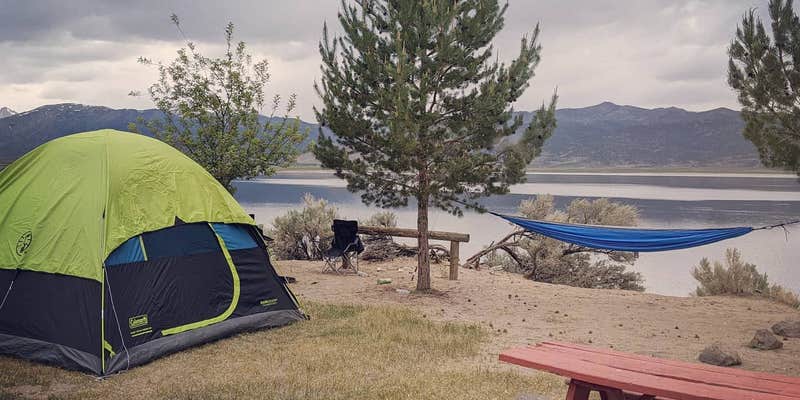 Camper submitted image from Bridgeport Reservoir RV Park and Marina